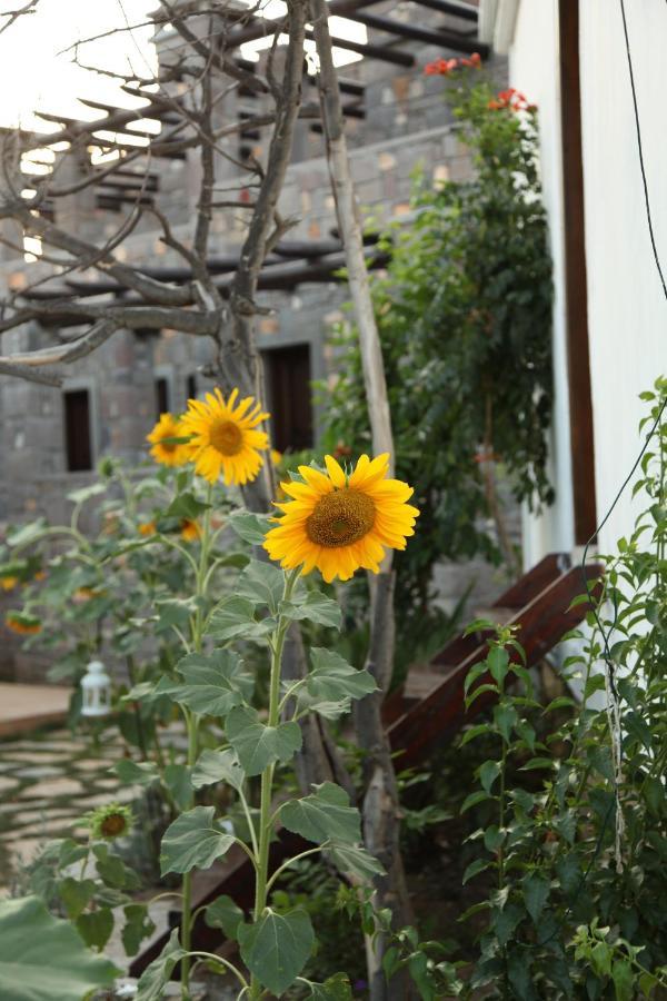 Akvaryum Hotel Bozcaada Exterior photo